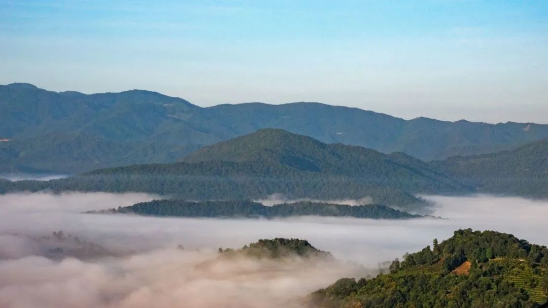 拉萨攻略成都旅游到哪个机场_成都到拉萨旅游攻略_拉萨到成都景点