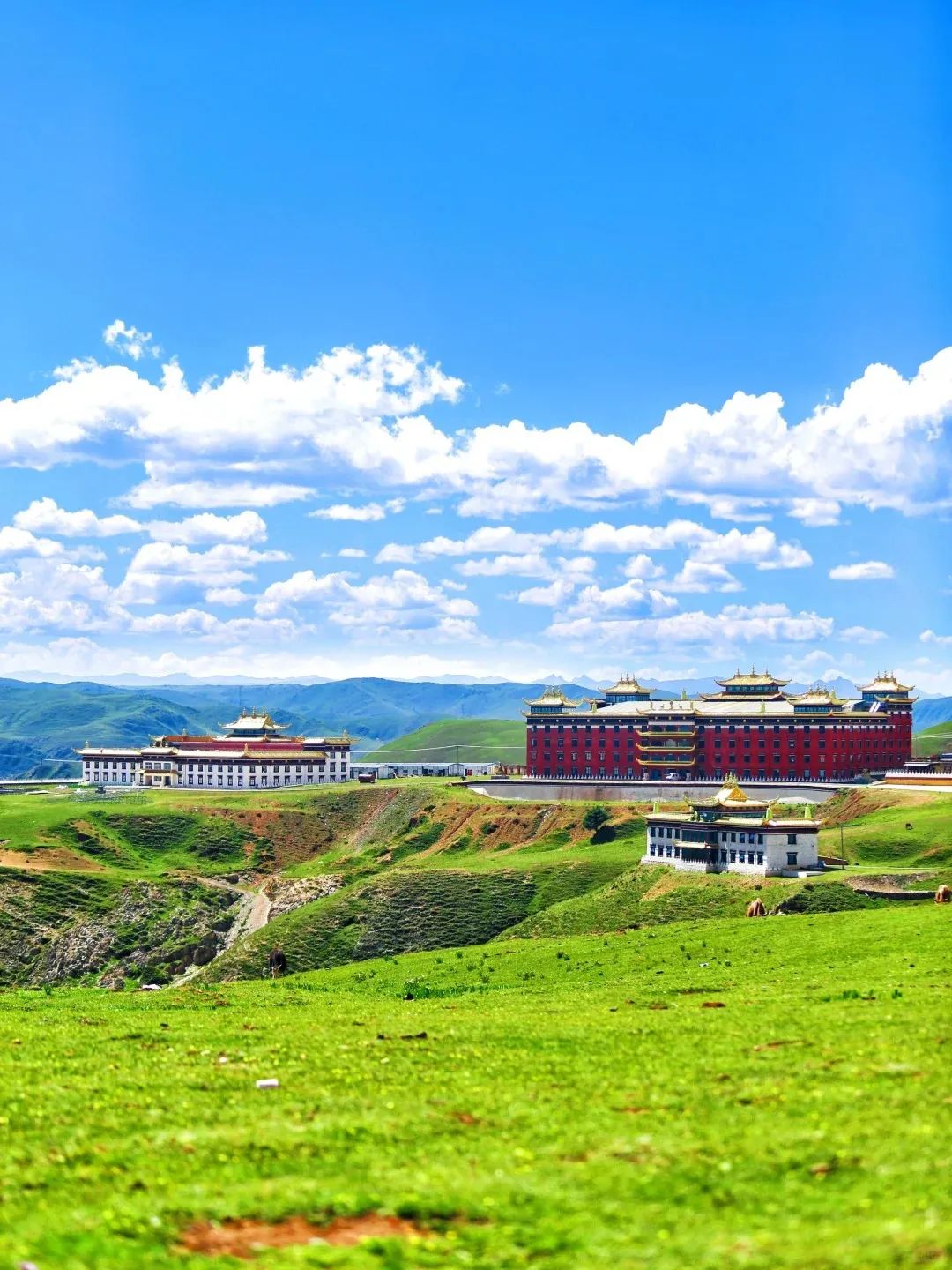 拉萨攻略成都旅游到哪里好玩_拉萨攻略成都旅游到哪里_成都到拉萨旅游攻略