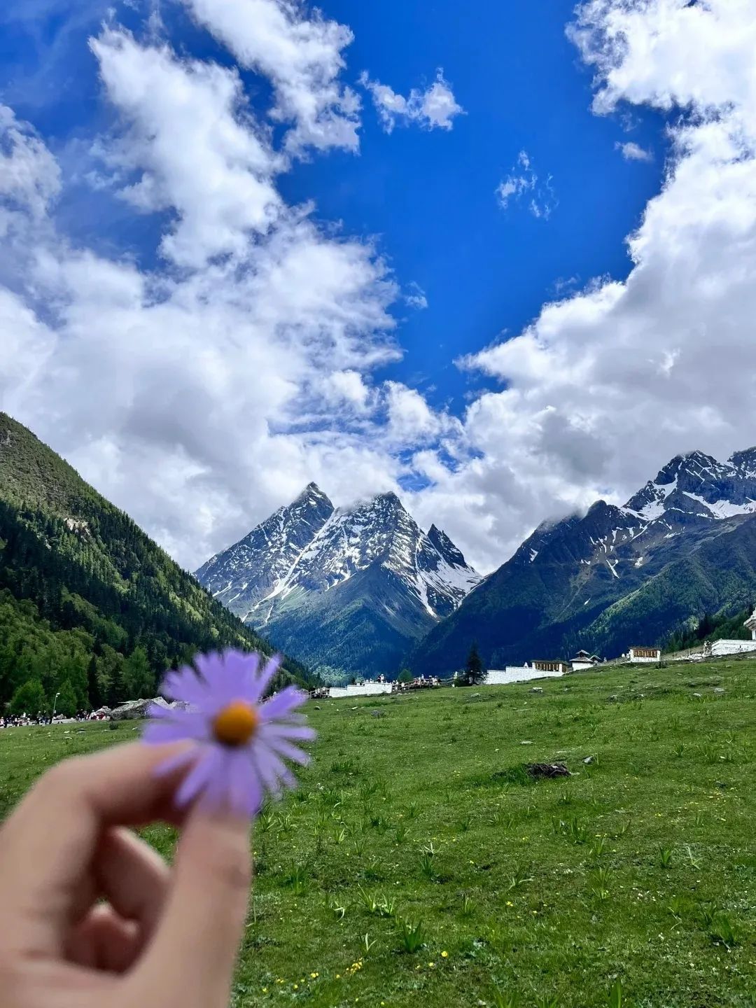 拉萨攻略成都旅游到哪里好玩_成都到拉萨旅游攻略_拉萨攻略成都旅游到哪里