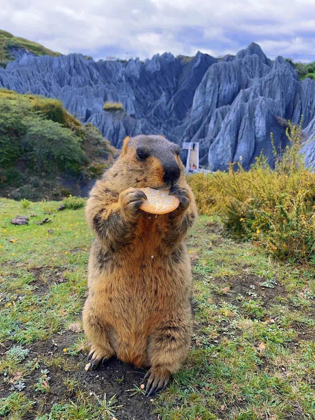 拉萨攻略成都旅游到哪里_拉萨攻略成都旅游到哪里好玩_成都到拉萨旅游攻略