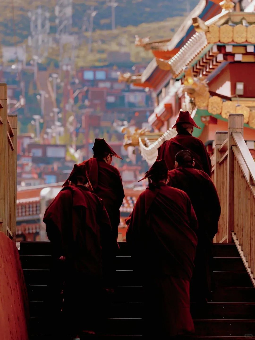 成都到拉萨旅游攻略_拉萨攻略成都旅游到哪里好玩_拉萨攻略成都旅游到哪里