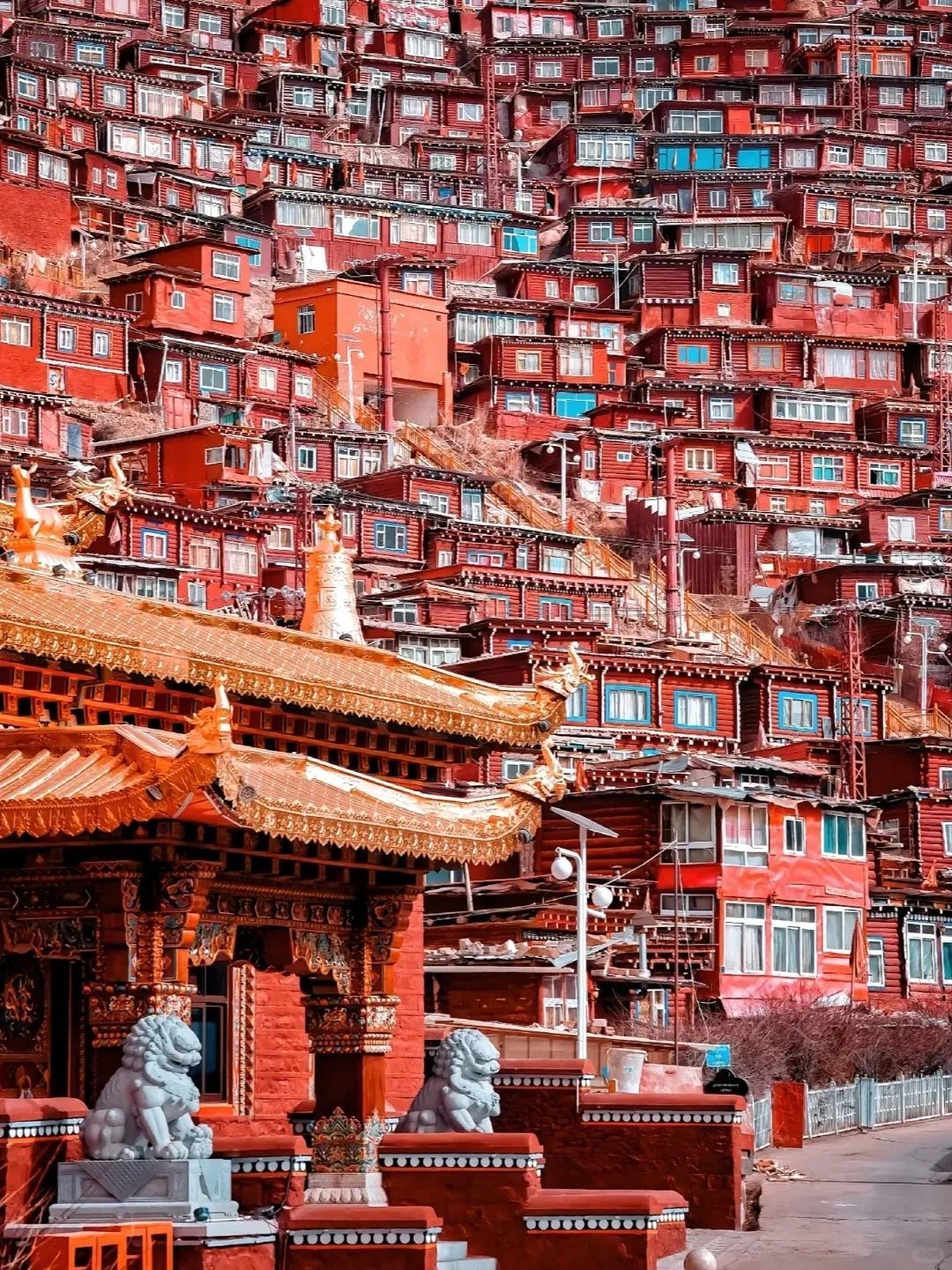 拉萨攻略成都旅游到哪里好玩_拉萨攻略成都旅游到哪里_成都到拉萨旅游攻略