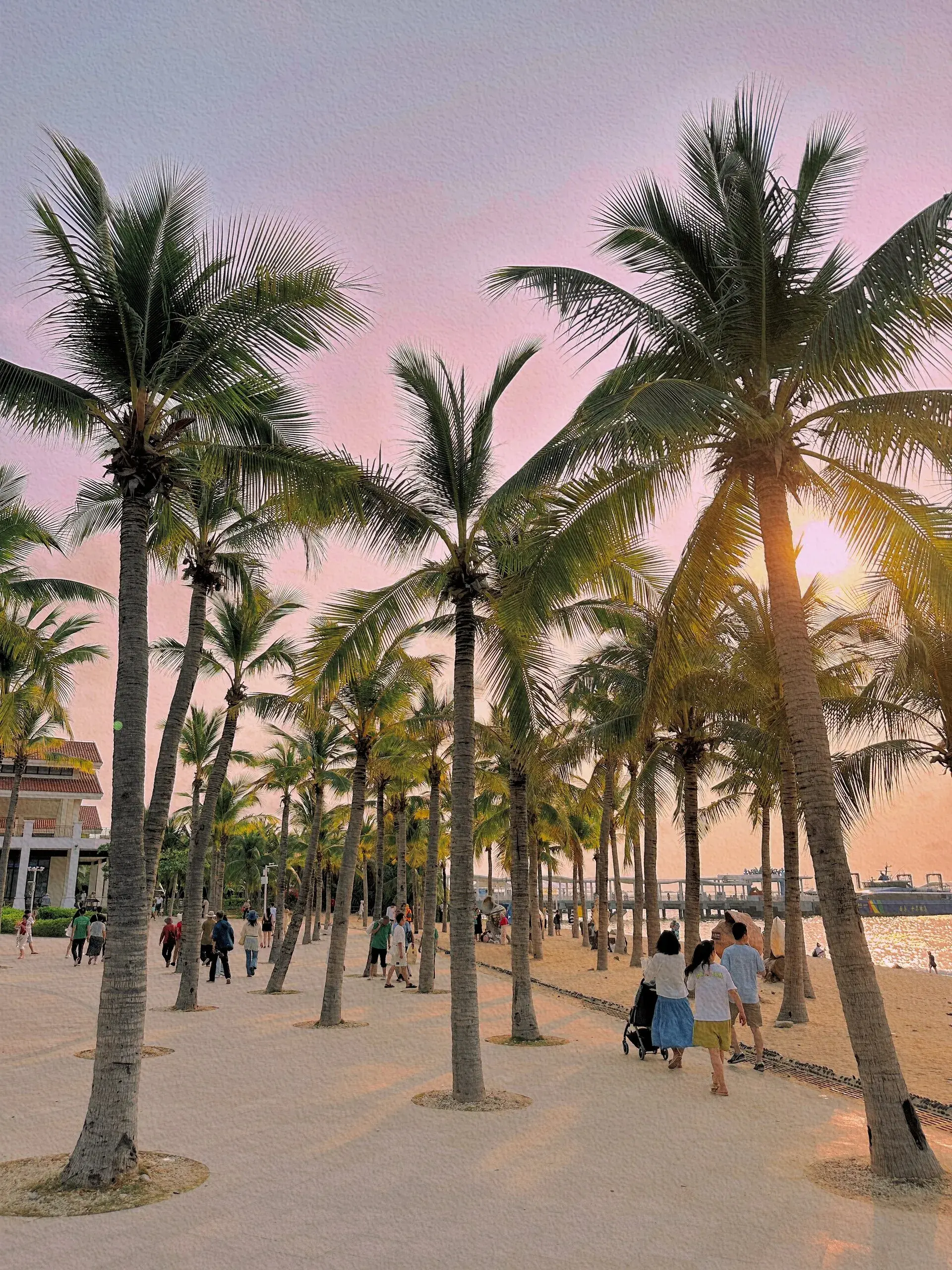 海南自助旅游多少钱_海南自助游旅游攻略_海南自助游最全攻略