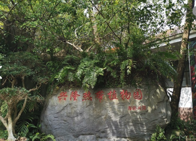 海南岛旅游旺季是几月_海南岛旅游什么月份最好_海南岛一月份旅游攻略