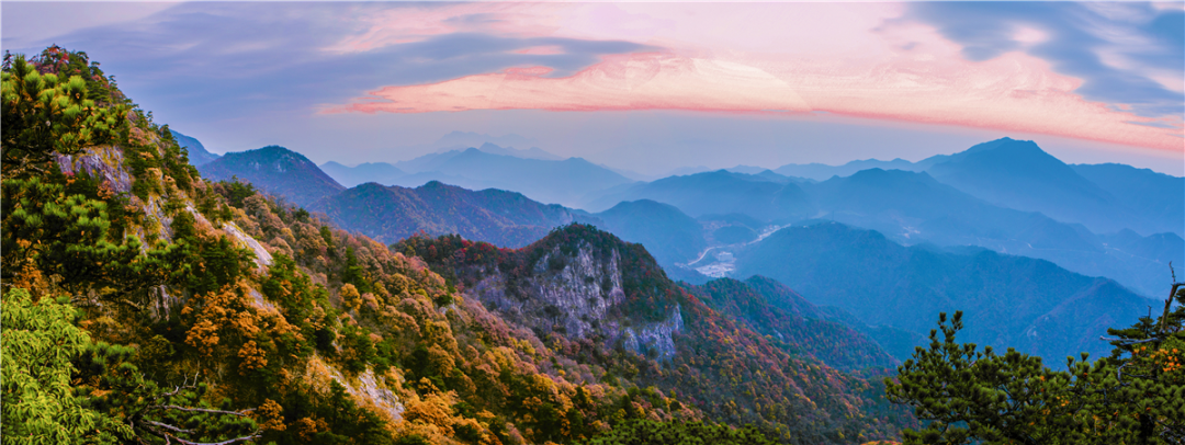 鹞落坪自驾游旅游攻略_鹞落坪旅游攻略_鹞落坪景点介绍