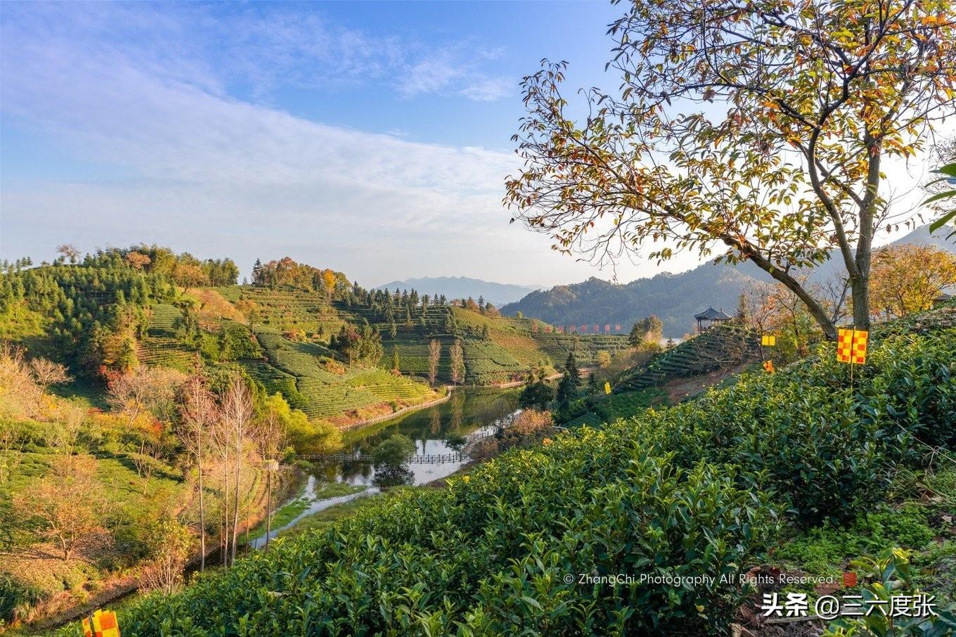 鹞落坪自驾游旅游攻略_鹞落坪旅游攻略_鹞落坪景点介绍