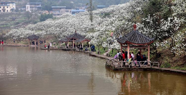 缙云山旅游攻略_缙云山旅游攻略_缙云山旅游攻略