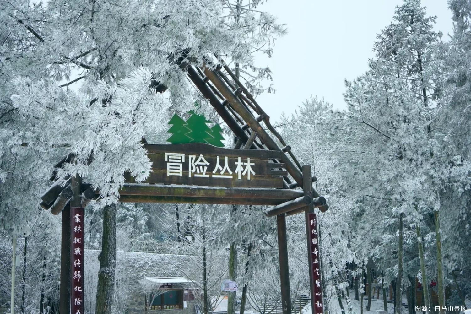 缙云山旅游攻略_缙云山旅游攻略_缙云山旅游攻略