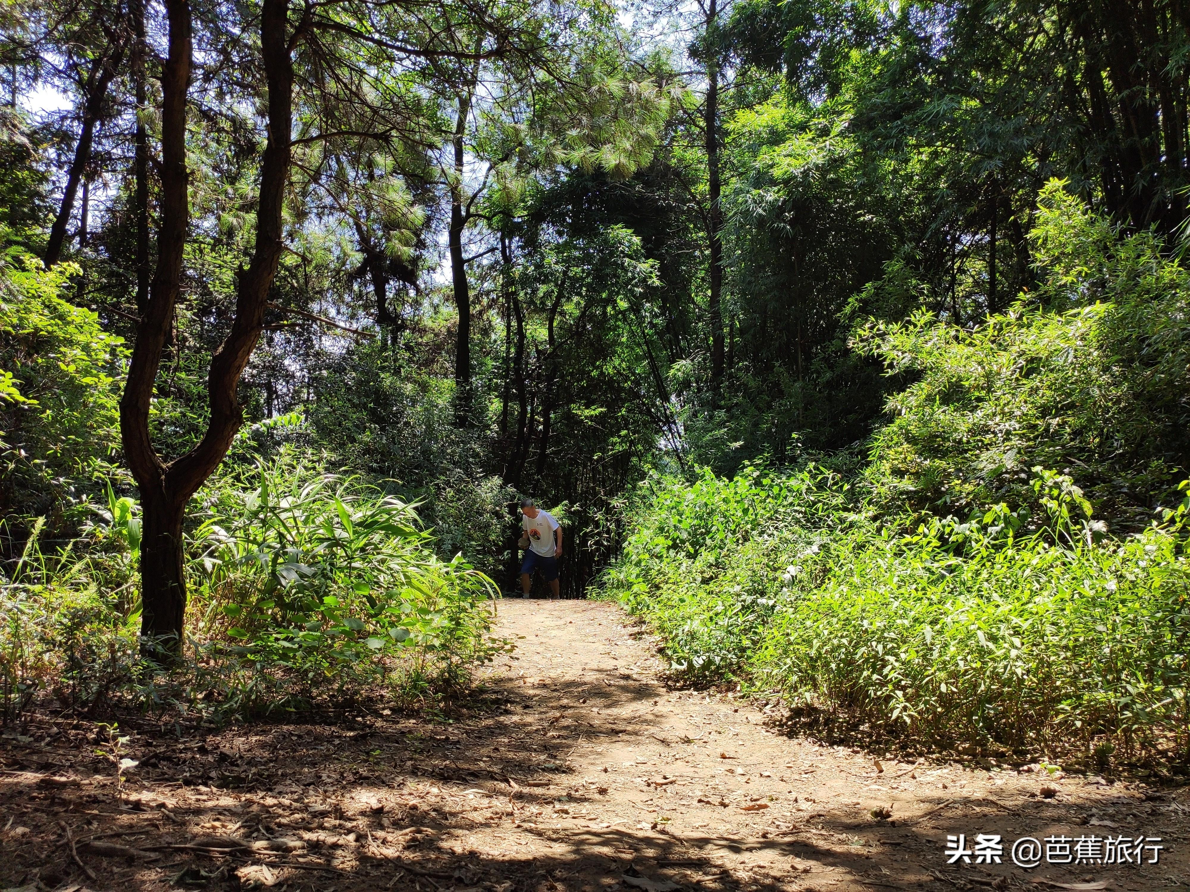 缙云山旅游攻略_缙云山旅游攻略_缙云山旅游攻略