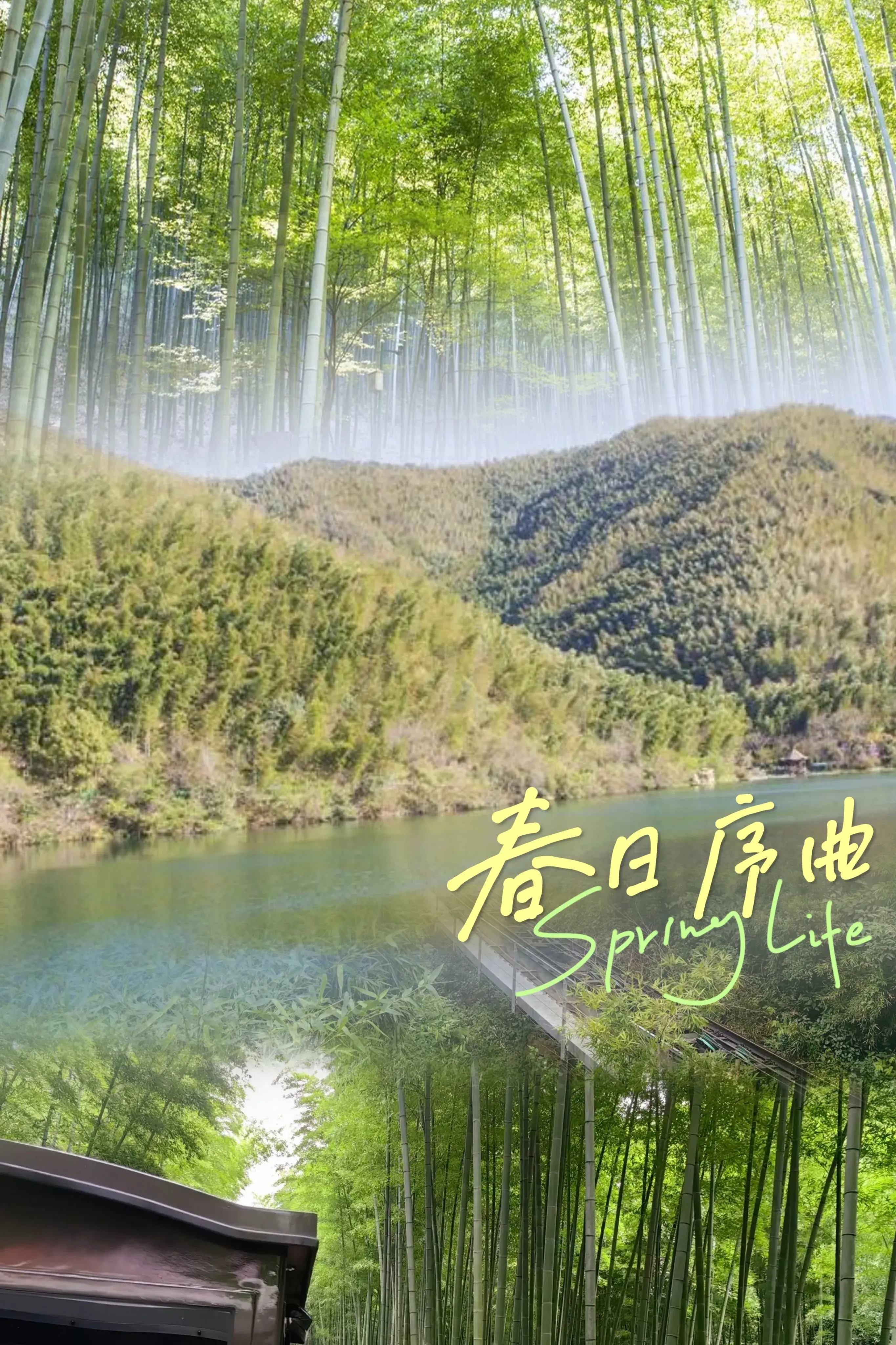 天目湖南山竹海旅游攻略_南山竹海天目湖哪个好玩_南山攻略旅游竹海天目湖路线