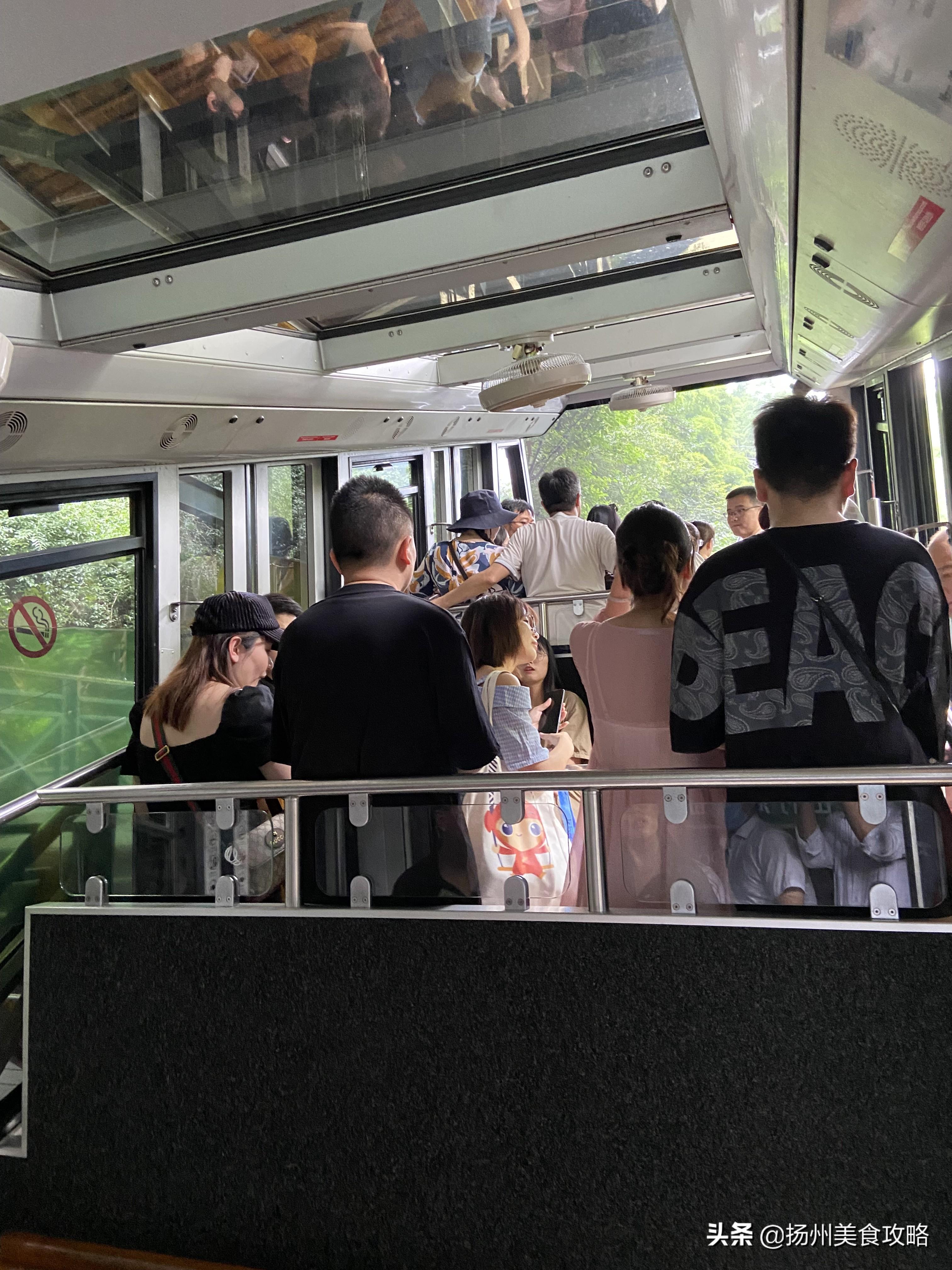 南山攻略旅游竹海天目湖路线_天目湖南山竹海旅游攻略_南山竹海天目湖