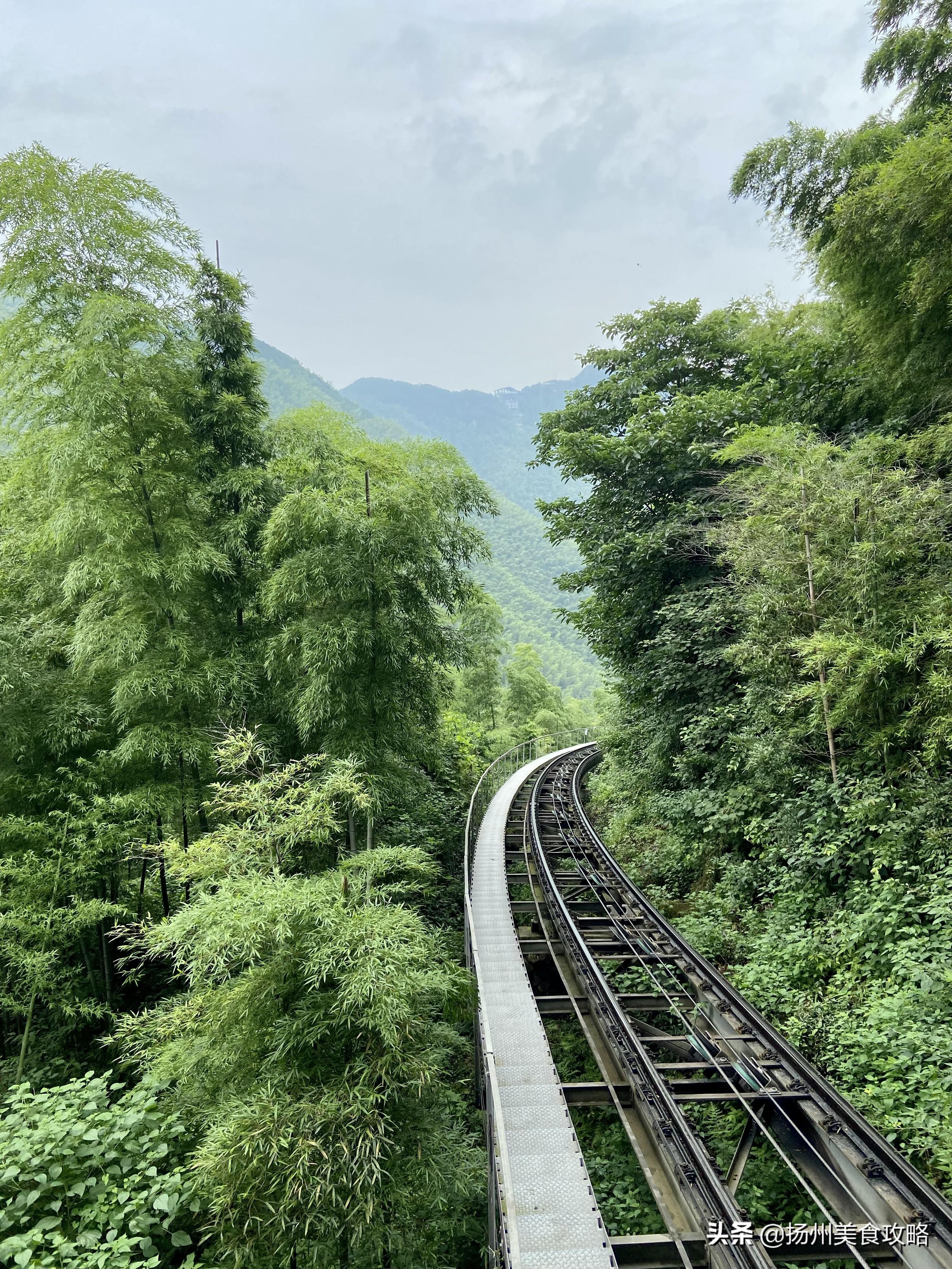 天目湖南山竹海旅游攻略_南山竹海天目湖_南山攻略旅游竹海天目湖路线