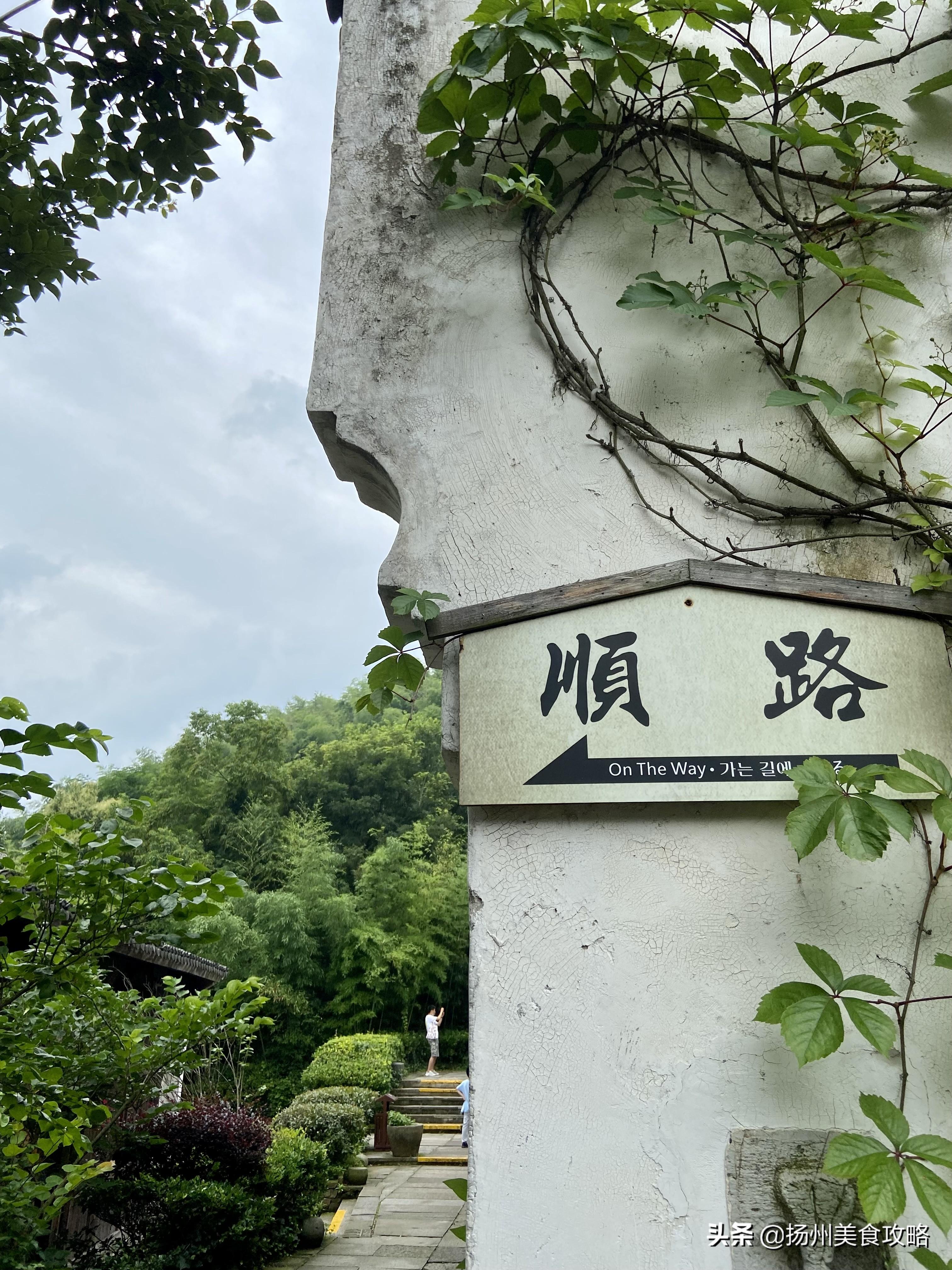 南山攻略旅游竹海天目湖路线_天目湖南山竹海旅游攻略_南山竹海天目湖