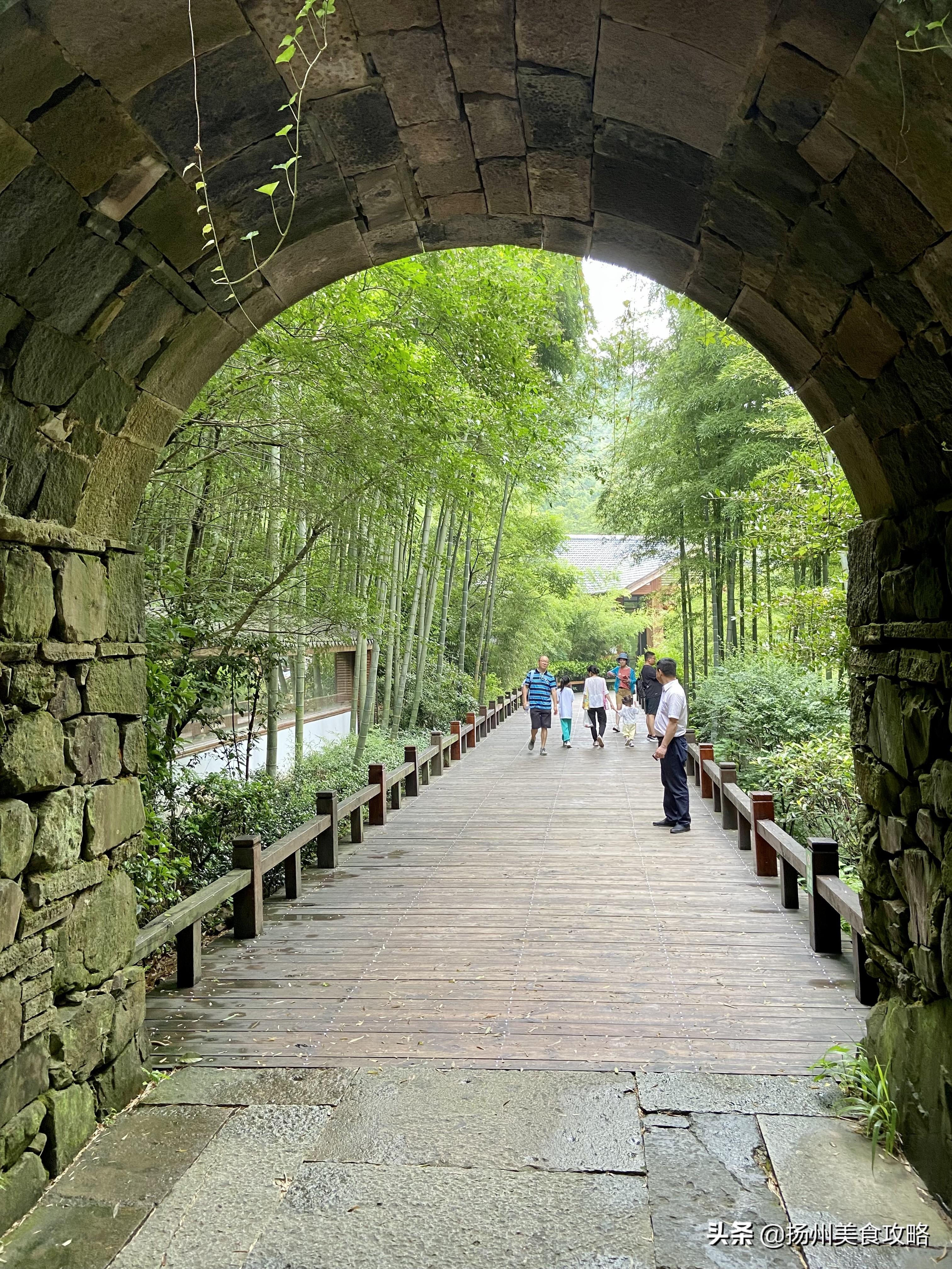 南山攻略旅游竹海天目湖路线_天目湖南山竹海旅游攻略_南山竹海天目湖