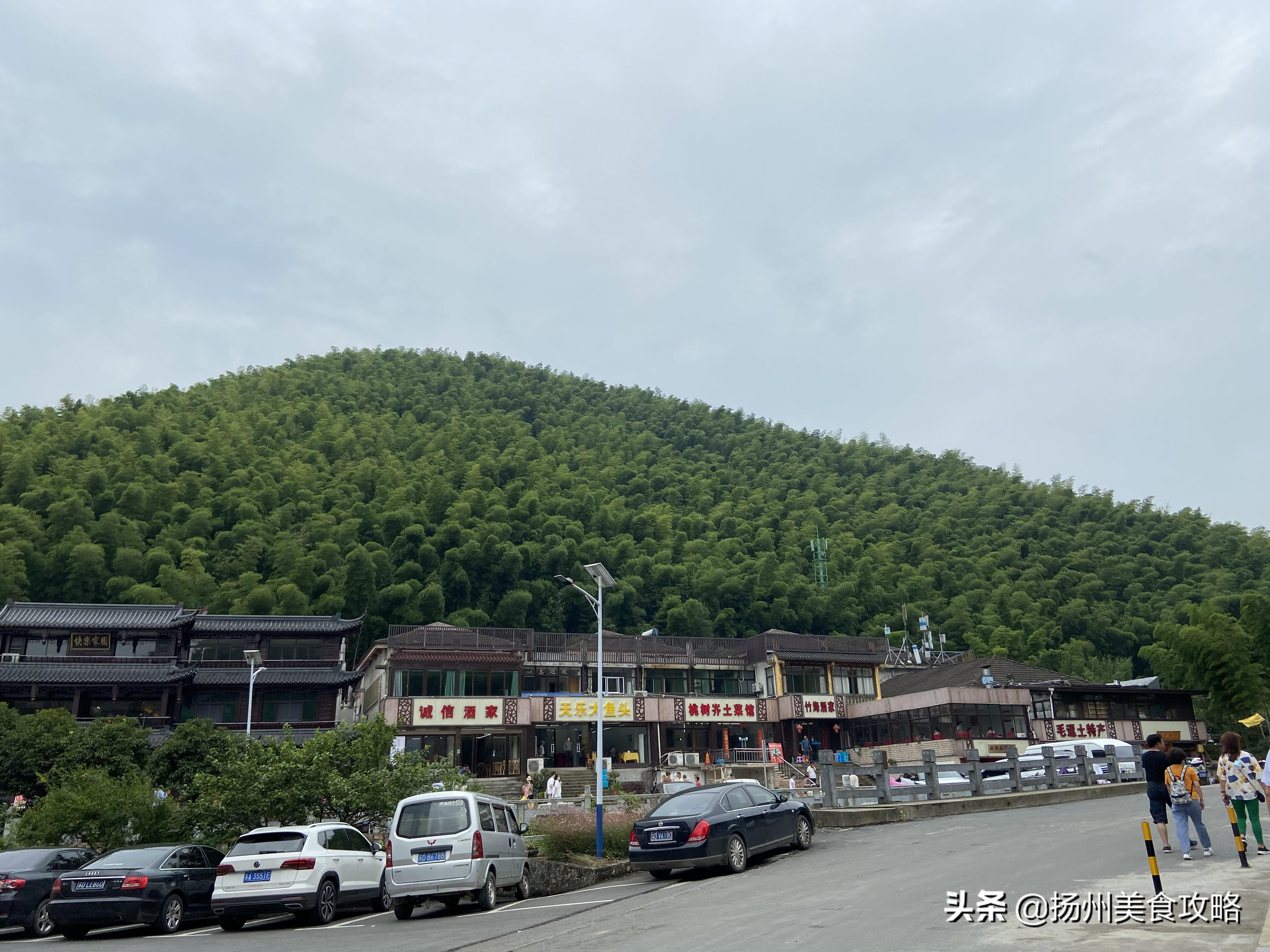 南山竹海天目湖_天目湖南山竹海旅游攻略_南山攻略旅游竹海天目湖路线