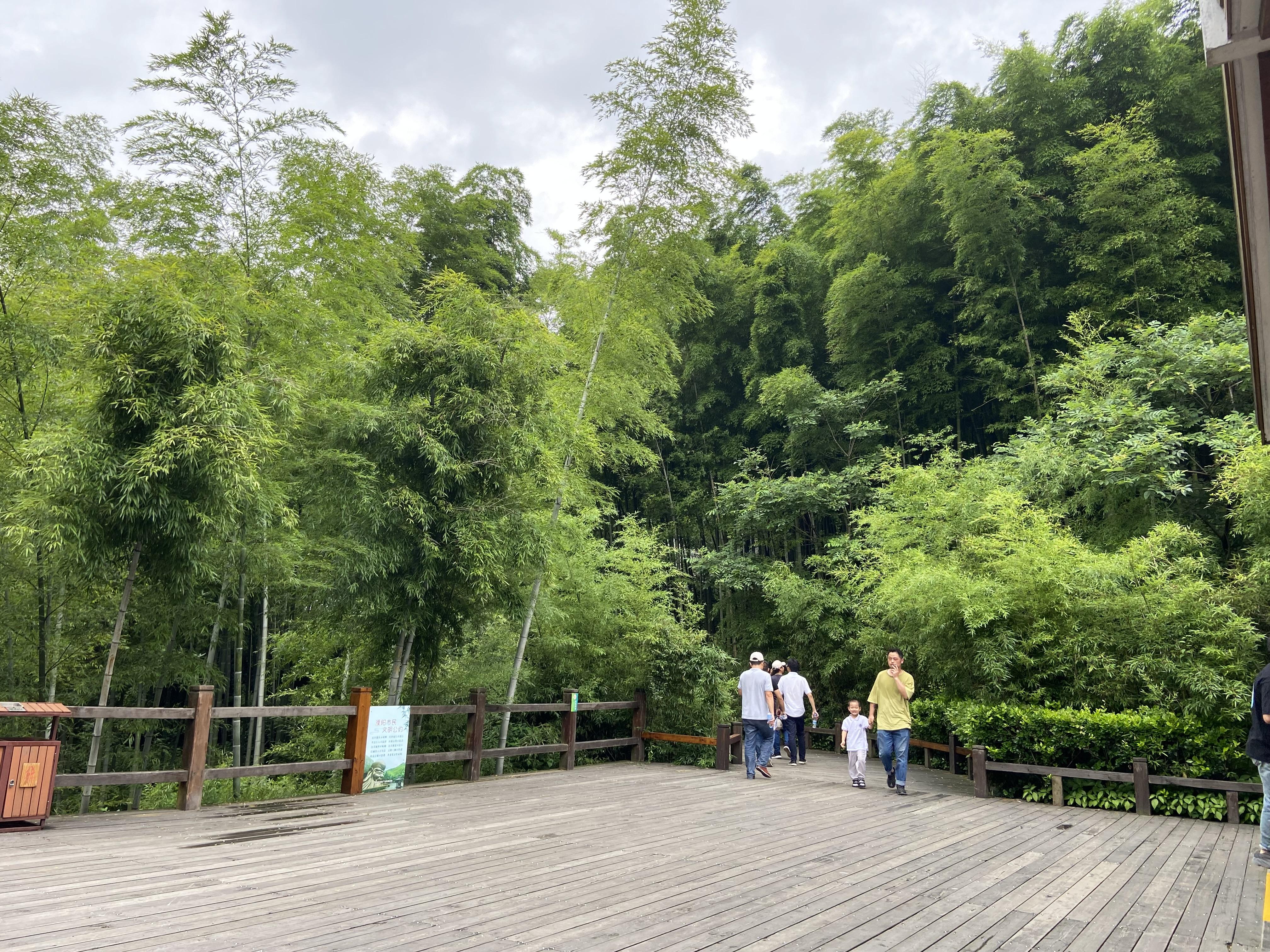 天目湖南山竹海旅游攻略_南山攻略旅游竹海天目湖路线_南山竹海天目湖