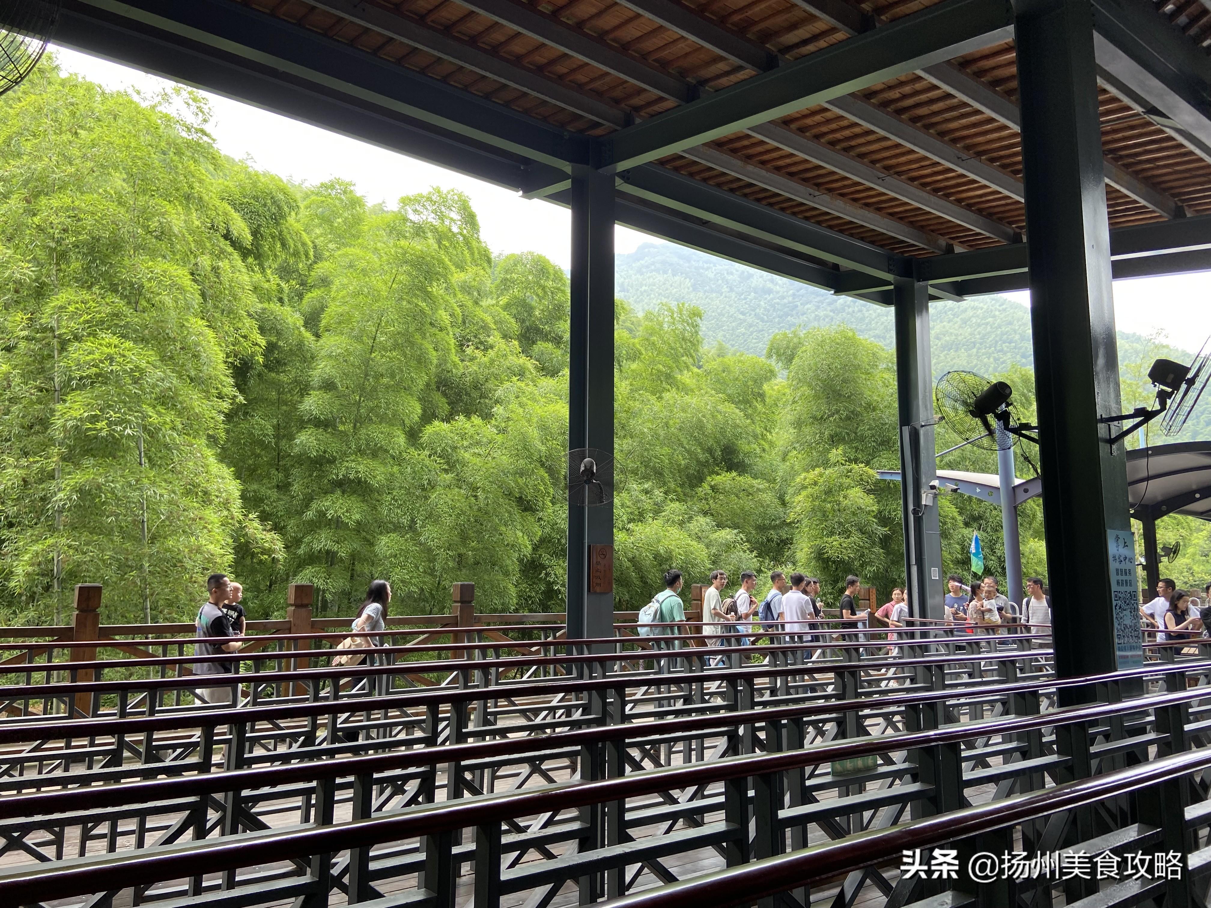 天目湖南山竹海旅游攻略_南山攻略旅游竹海天目湖路线_南山竹海天目湖