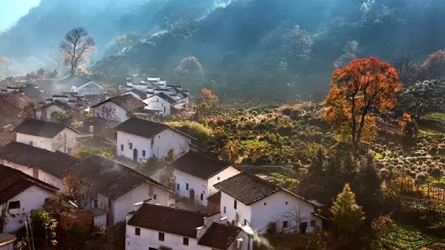 婺源秋景摄影攻略_婺源秋景_婺源秋色旅游攻略