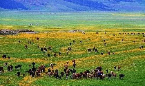 塔克拉玛干沙漠旅游景点攻略_塔克拉玛干沙漠一日游_塔克拉玛干沙漠旅游攻略