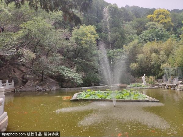 妙峰山风景区旅游攻略_妙峰山风景区好玩吗_妙峰山风景图片