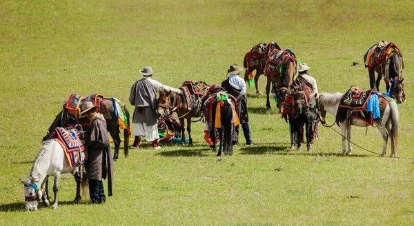 澜沧江大峡谷旅游攻略-澜沧江大峡谷国家公园(图39) 澜沧江大峡谷旅游攻略_澜沧江大峡谷国家公园_澜沧江大峡谷门票