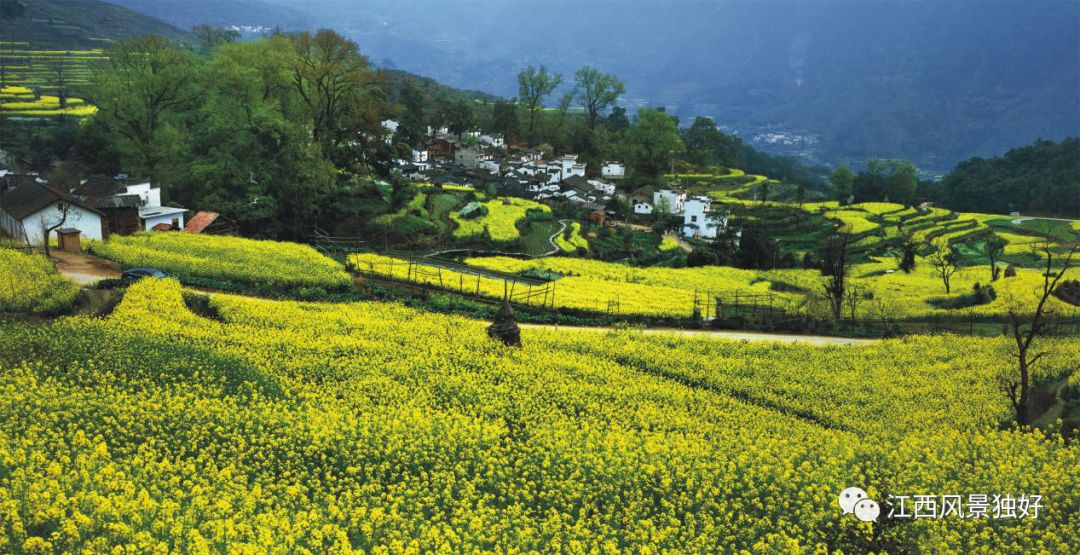 婺源西线旅游攻略-婺源西线最值得去的三个景点