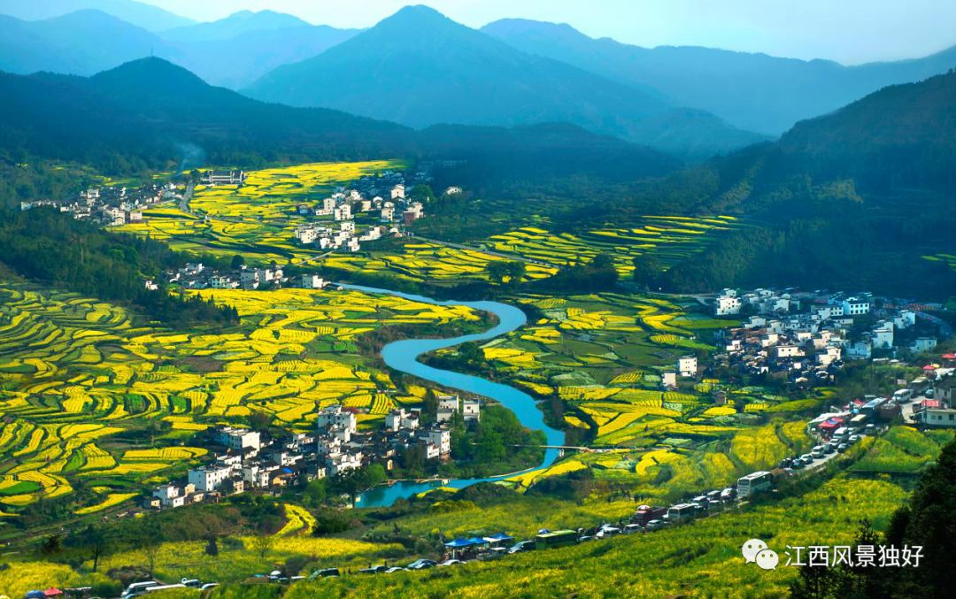 婺源西线旅游攻略-婺源西线最值得去的三个景点(图8) 婺源西线旅游景点_婺源西线旅游攻略_婺源西线最值得去的三个景点