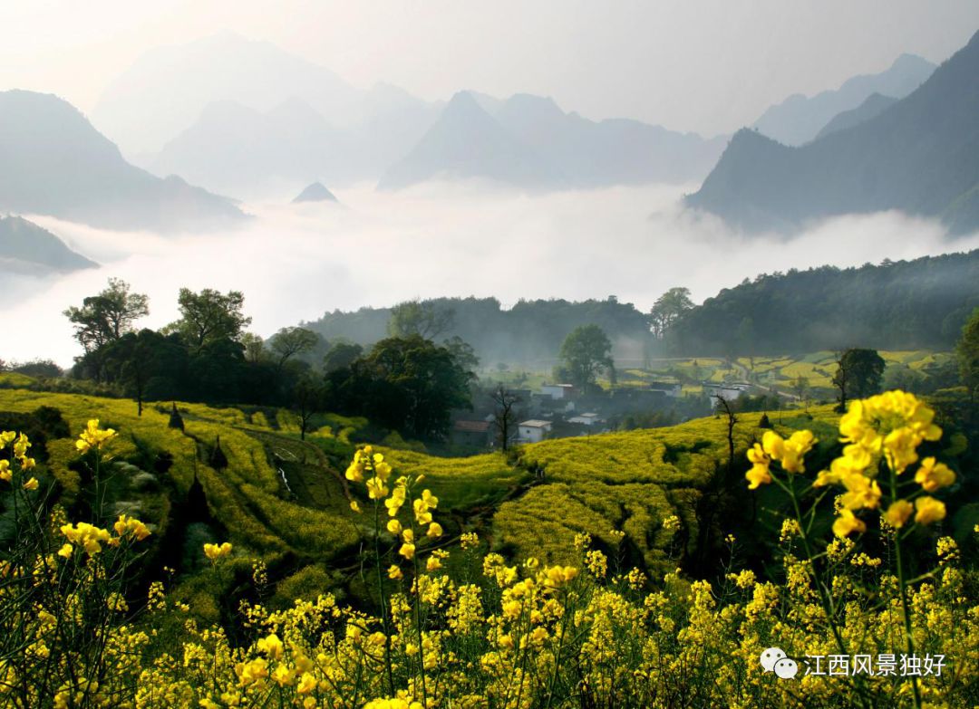 婺源西线旅游攻略-婺源西线最值得去的三个景点(图9) 婺源西线旅游攻略_婺源西线旅游景点_婺源西线最值得去的三个景点