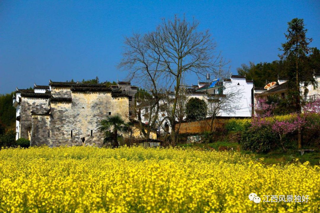 婺源西线旅游攻略-婺源西线最值得去的三个景点(图16) 婺源西线最值得去的三个景点_婺源西线旅游攻略_婺源西线旅游景点