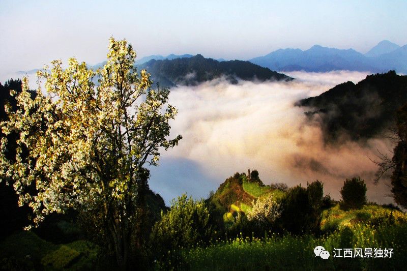 婺源西线旅游攻略-婺源西线最值得去的三个景点(图23) 婺源西线旅游景点_婺源西线最值得去的三个景点_婺源西线旅游攻略