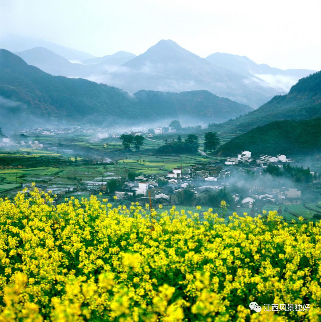 婺源西线旅游攻略-婺源西线最值得去的三个景点(图2) 婺源西线最值得去的三个景点_婺源西线旅游景点_婺源西线旅游攻略