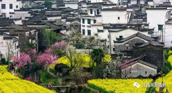 婺源西线旅游攻略-婺源西线最值得去的三个景点(图27) 婺源西线最值得去的三个景点_婺源西线旅游景点_婺源西线旅游攻略