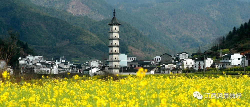 婺源西线旅游攻略-婺源西线最值得去的三个景点(图28) 婺源西线旅游攻略_婺源西线旅游景点_婺源西线最值得去的三个景点