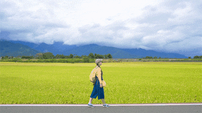 婺源西线旅游攻略-婺源西线最值得去的三个景点(图39) 婺源西线旅游攻略_婺源西线旅游景点_婺源西线最值得去的三个景点