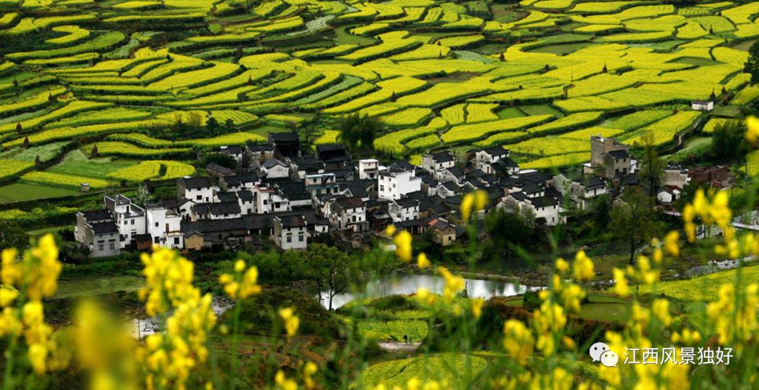 婺源西线旅游攻略-婺源西线最值得去的三个景点(图6) 婺源西线最值得去的三个景点_婺源西线旅游景点_婺源西线旅游攻略