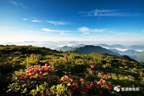 婺源西线旅游攻略-婺源西线旅游景点(图13) 婺源西线旅游攻略_婺源西线旅游景点_婺源西线最值得去的三个景点