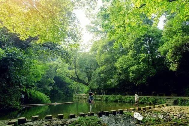 婺源西线旅游攻略-婺源西线旅游景点(图17) 婺源西线旅游景点_婺源西线最值得去的三个景点_婺源西线旅游攻略