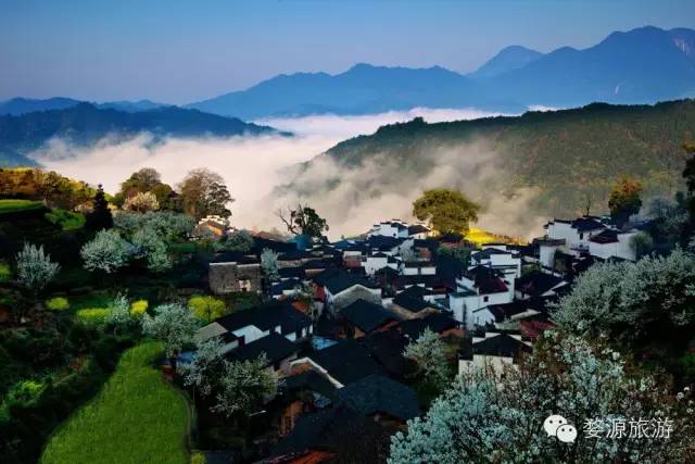 婺源西线旅游攻略-婺源西线旅游景点(图22) 婺源西线旅游景点_婺源西线旅游攻略_婺源西线最值得去的三个景点