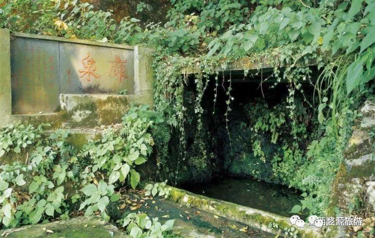 婺源西线旅游攻略-婺源西线旅游景点(图35) 婺源西线旅游攻略_婺源西线最值得去的三个景点_婺源西线旅游景点