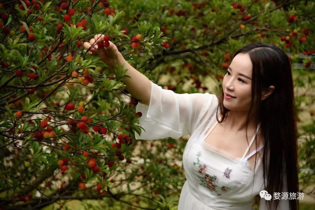 婺源西线旅游攻略-婺源西线旅游景点(图41) 婺源西线旅游景点_婺源西线最值得去的三个景点_婺源西线旅游攻略