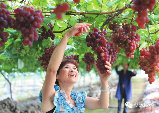 婺源西线旅游攻略-婺源西线旅游景点(图42) 婺源西线最值得去的三个景点_婺源西线旅游攻略_婺源西线旅游景点