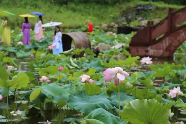 婺源西线旅游攻略-婺源西线旅游景点(图44) 婺源西线旅游景点_婺源西线最值得去的三个景点_婺源西线旅游攻略