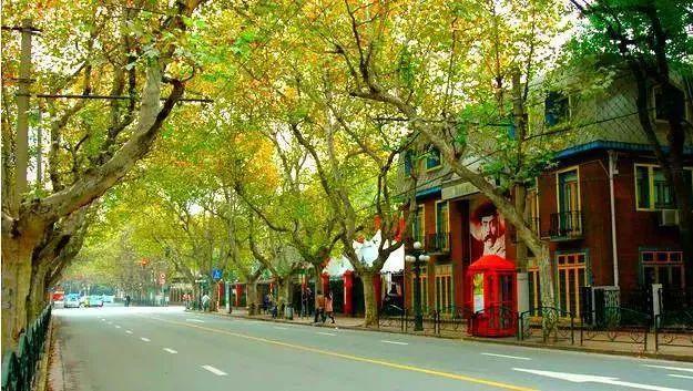 上海衡山路旅游攻略-上海衡山路休闲街景点介绍(图30) 上海的衡山路在哪个区_上海衡山路旅游攻略_上海衡山路休闲街景点介绍