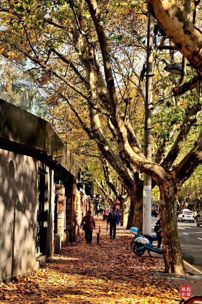 上海衡山路旅游攻略-上海衡山路休闲街景点介绍(图32) 上海衡山路旅游攻略_上海衡山路休闲街景点介绍_上海的衡山路在哪个区