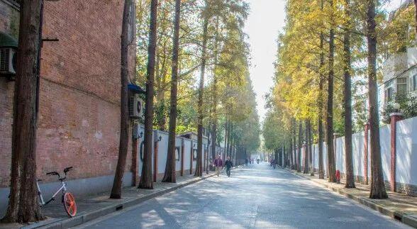 上海衡山路旅游攻略-上海衡山路休闲街景点介绍(图40) 上海衡山路旅游攻略_上海的衡山路在哪个区_上海衡山路休闲街景点介绍