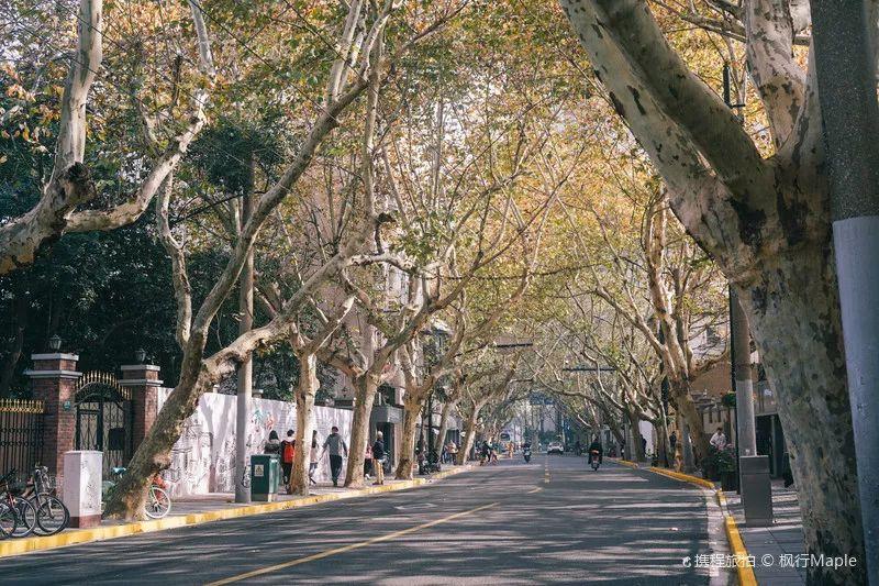 上海衡山路旅游攻略-上海衡山路休闲街景点介绍(图6) 上海衡山路休闲街景点介绍_上海衡山路旅游攻略_上海的衡山路在哪个区