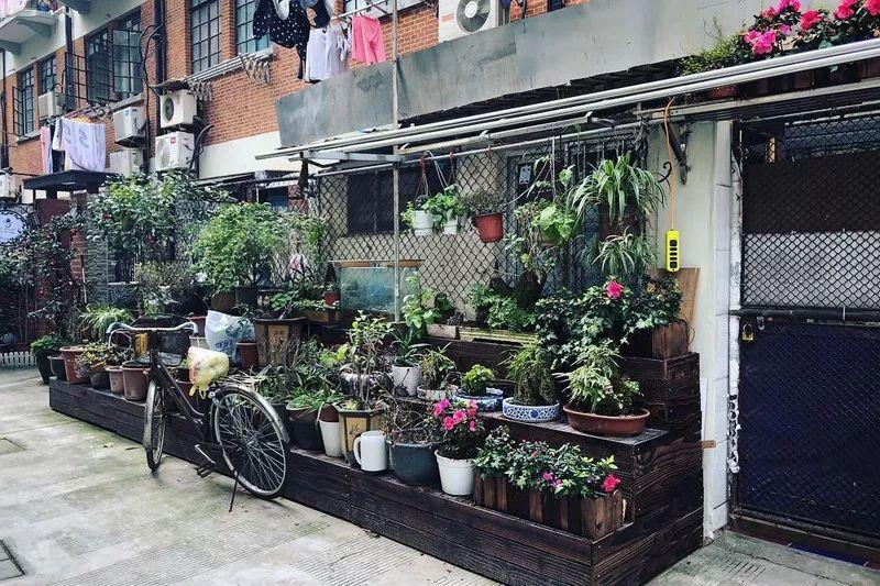 上海衡山路旅游攻略-上海衡山路休闲街景点介绍(图8) 上海的衡山路在哪个区_上海衡山路休闲街景点介绍_上海衡山路旅游攻略