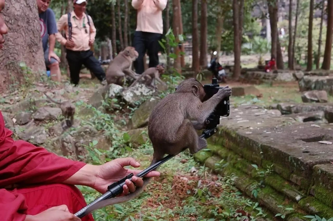 旅游攻略app蚂蜂窝自由行手机版_自驾窝窝旅行软件_窝窝旅游哪款好