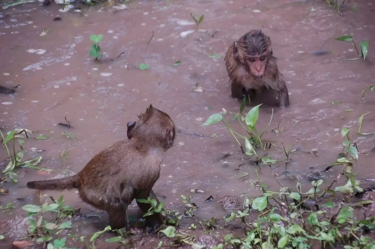 自驾窝窝旅行软件_窝窝旅游哪款好_旅游攻略app蚂蜂窝自由行手机版