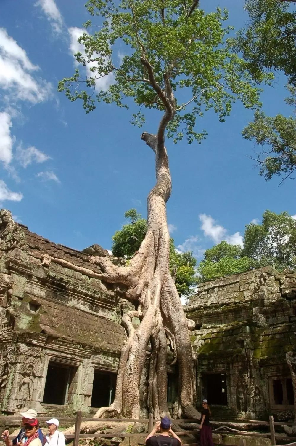 窝窝旅游哪款好_自驾窝窝旅行软件_旅游攻略app蚂蜂窝自由行手机版